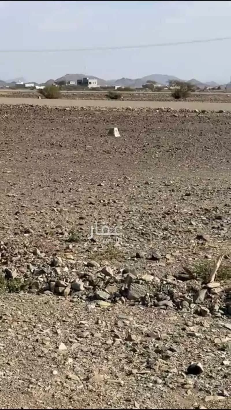 أرض للبيع في شارع سعيد بن خلف , حي ابيار الماشي, مدينة المدينه المنوره, منطقة المدينة المنورة 1 صورة