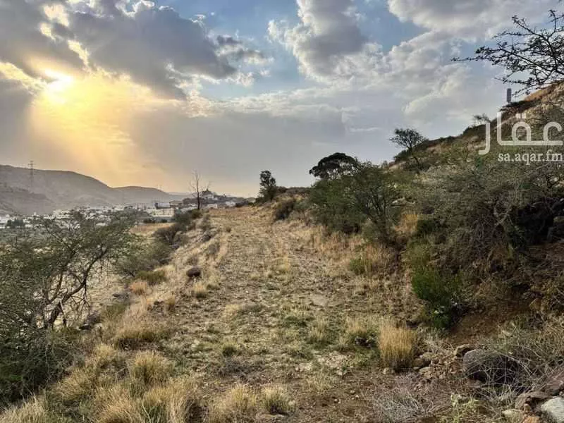 أرض للبيع في شارع شارع أبها , حي الخالدية, مدينة ابها, منطقة عسير 1 صورة