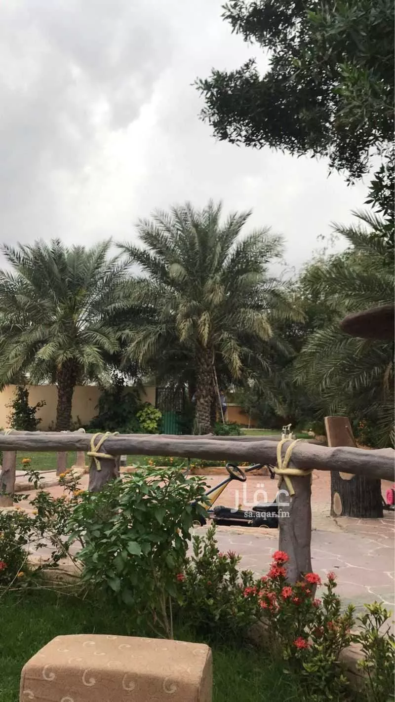 شاليه واستراحة للحجز في شارع ريع وصيق وفقاسة نعمان 196 ، شداد ، منطقة مكة المكرمة 1 صورة