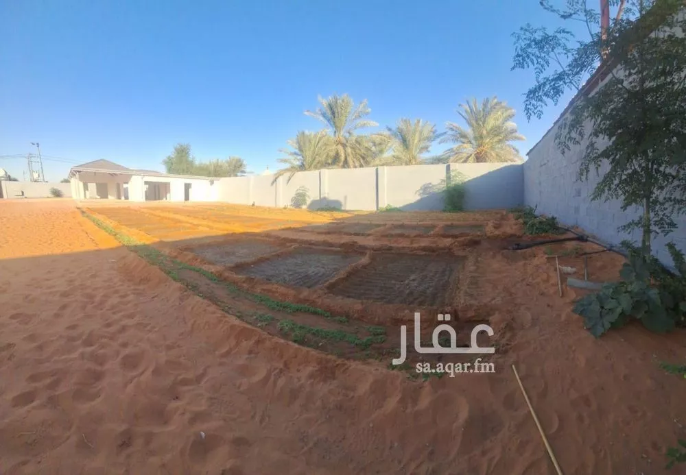 مزرعة للبيع في شارع زهرة الربيع, حي هجره الذيبيه وخضراء, مدينة هجره الذيبيه وخضراء, منطقة الرياض 1 صورة