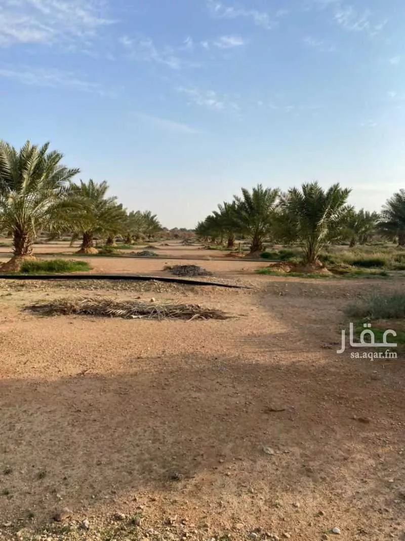 مزرعة للبيع في شارع شارع , مدينة جوى, منطقة الرياض 1 صورة