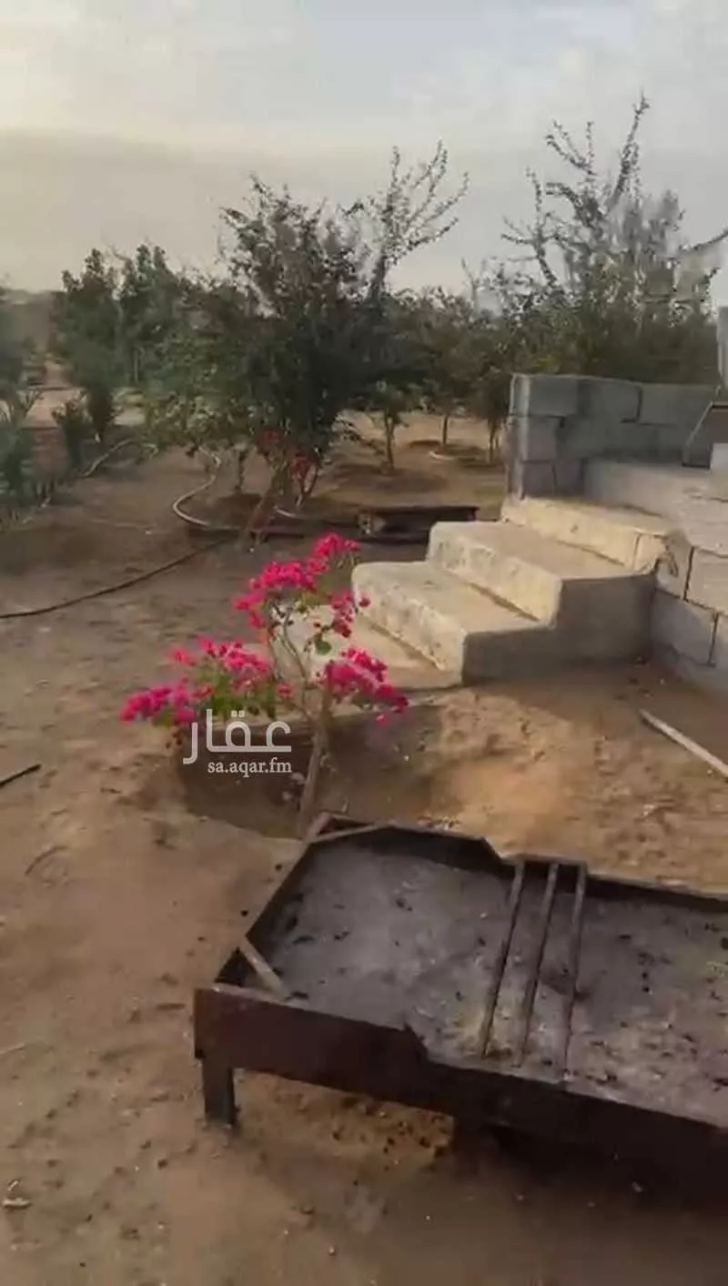 أرض للبيع في شارع عسفان 363 ، المقيطيع ، الجموم 1 صورة