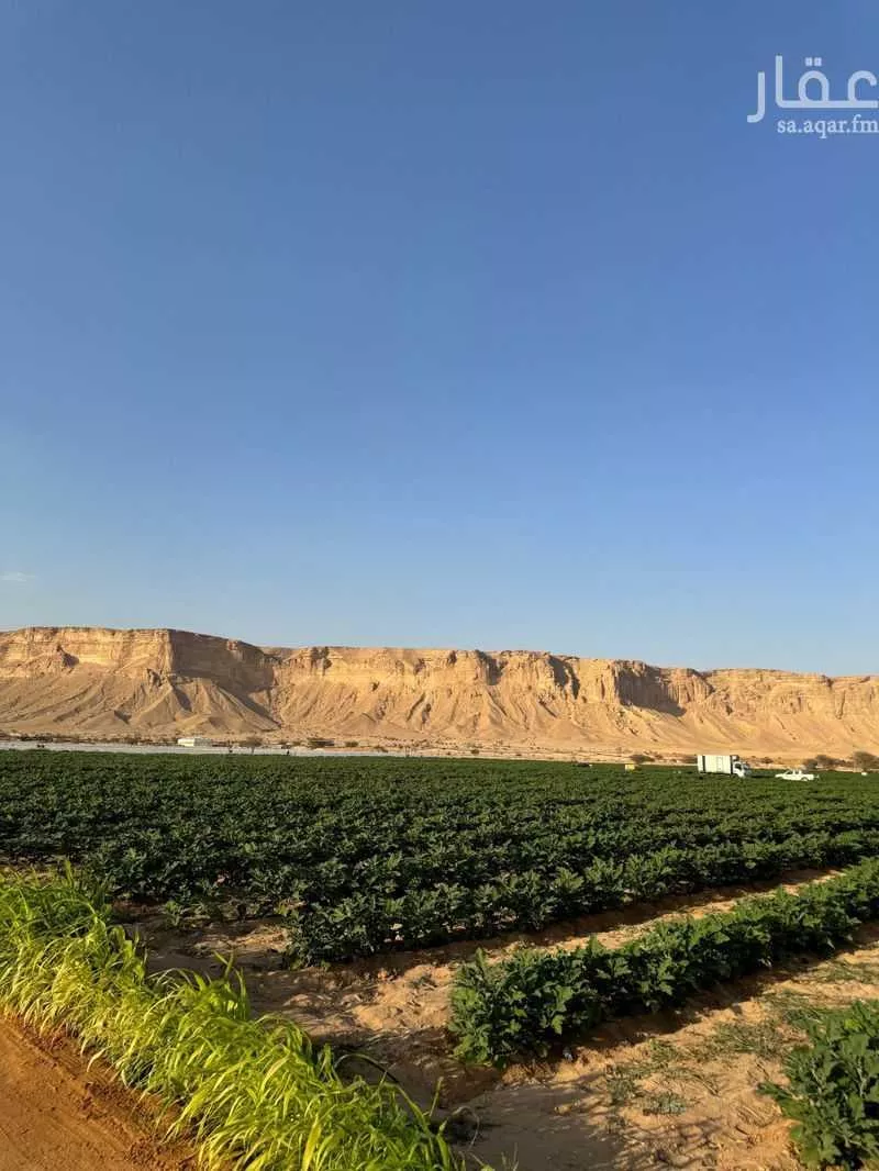 مزرعة للبيع في شارع عجاج ومزارعه 552, مدينة عجاج ومزارعه, منطقة الرياض 1 صورة