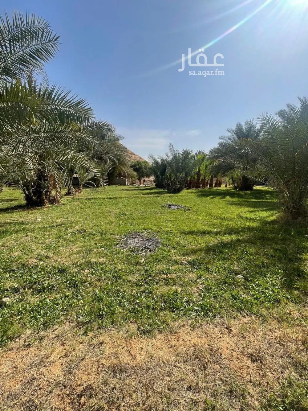 مزرعة للبيع في حي عريض, مدينة الرياض, منطقة الرياض 1 صورة
