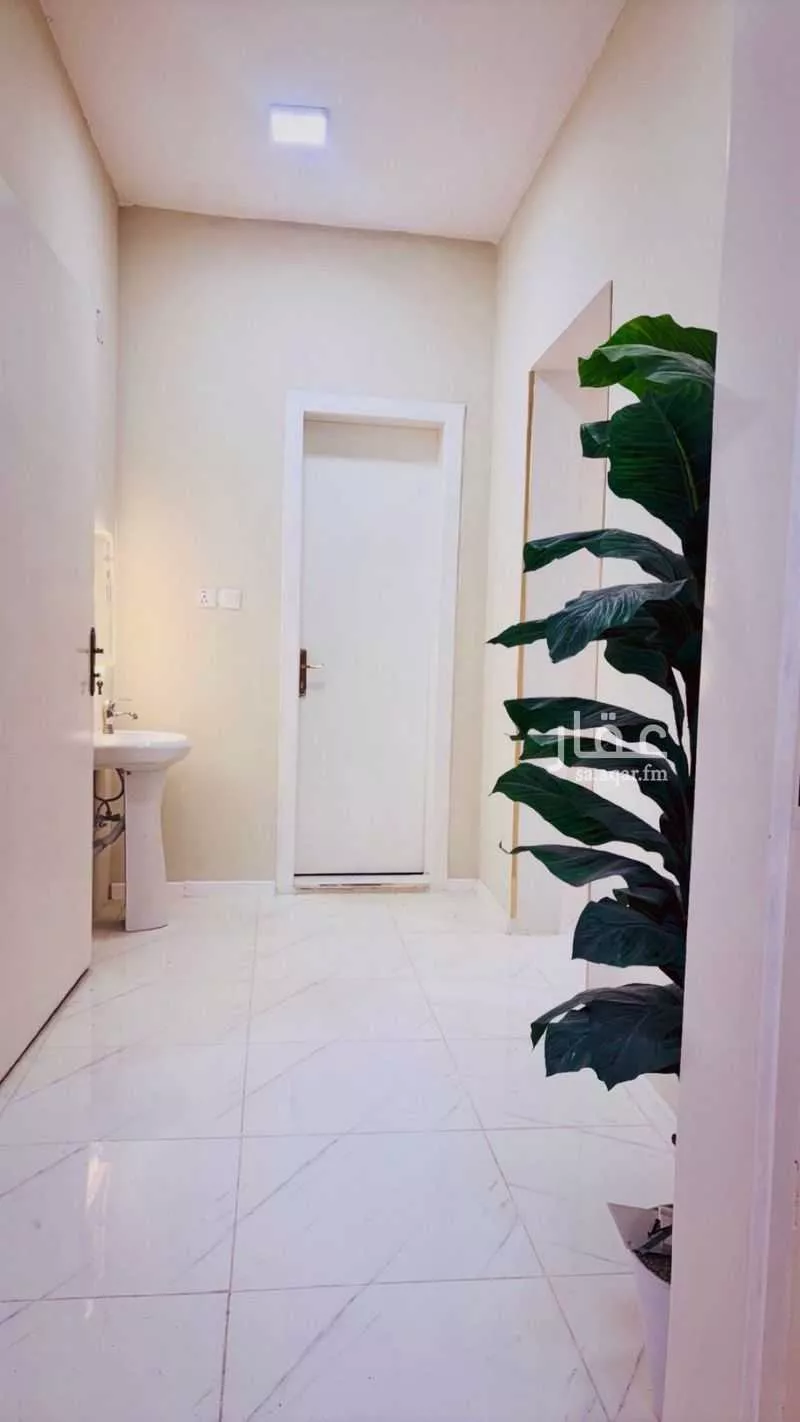 شقة للإيجار في شارع علي ابن ثابت القرشي ، رماح ، رماح 1 صورة