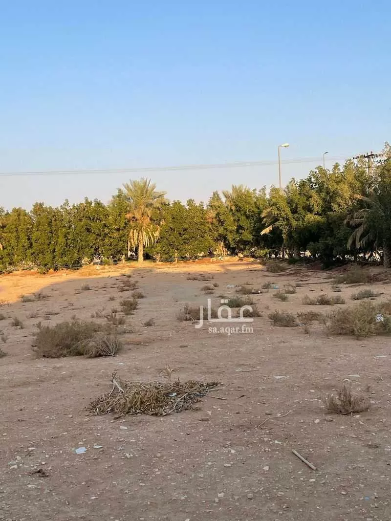 أرض للبيع في شارع طريق الدلم, حي العدامة, مدينة الخرج, منطقة الرياض 1 صورة