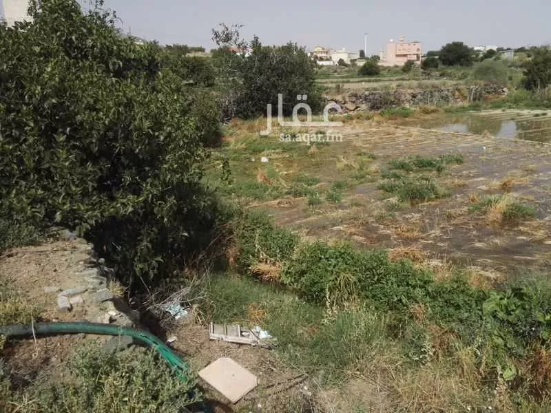 أرض للبيع في حي الهدا, مدينة امارة منطقة مكة المكرمة - الطائف, منطقة مكة المكرمة 1 صورة