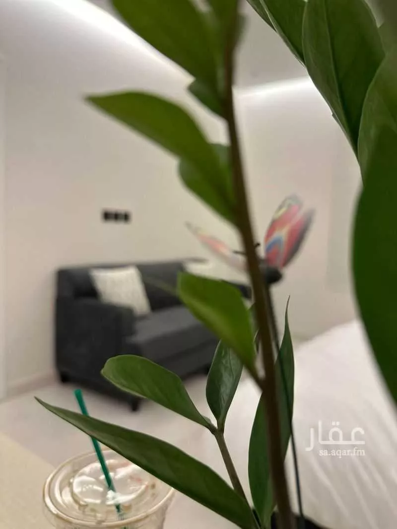 استديو مفروش للحجز في شارع جمال ابن عبدالله شيخ ، حي الواحة ، جدة ، جدة 1 صورة