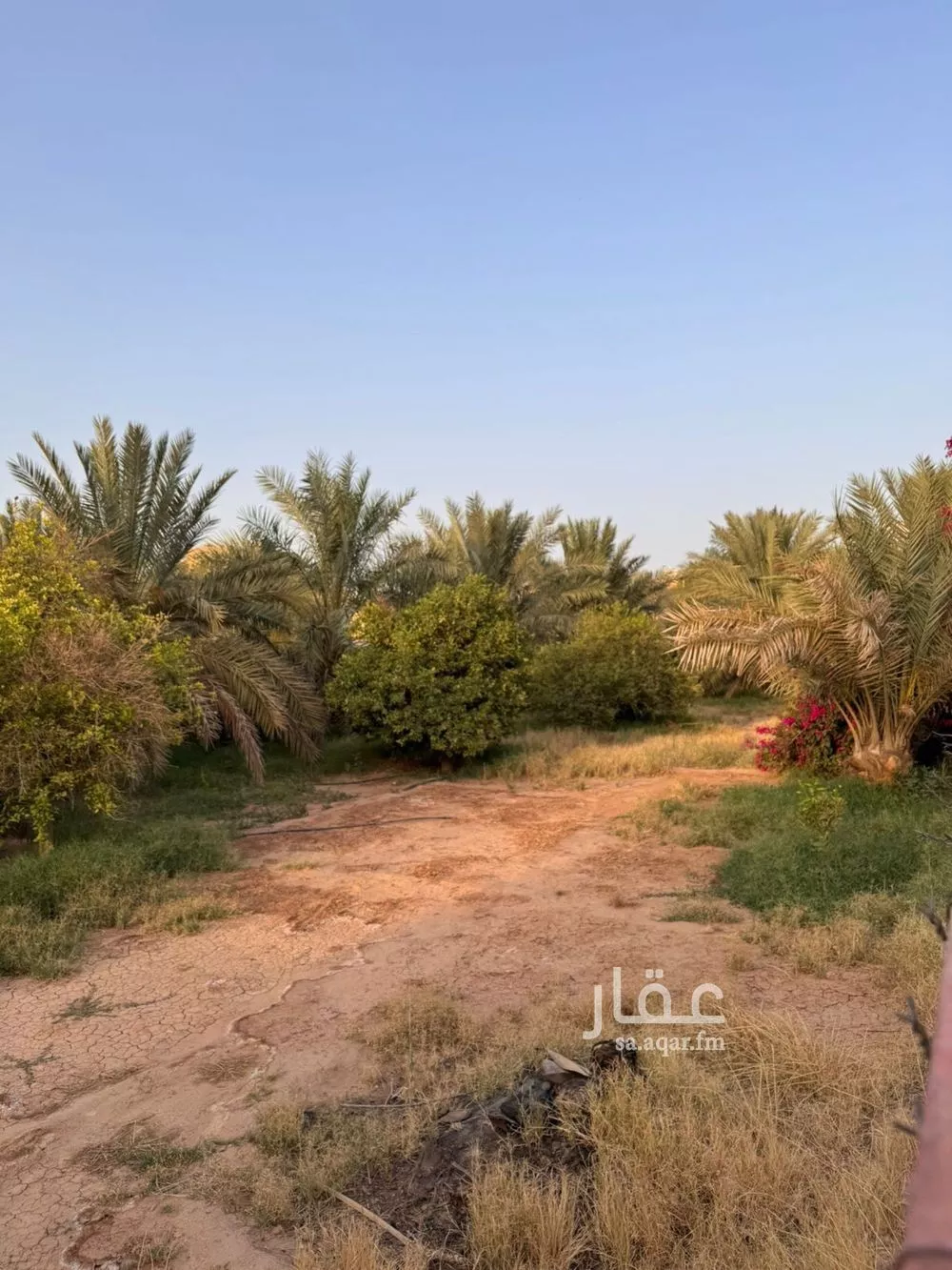 أرض للبيع في شارع الوكيل, حي الريان, مدينة الخبراء والسحابين, منطقة القصيم 1 صورة