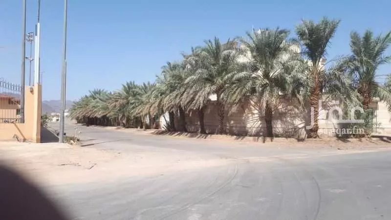 مزرعة للبيع في حي الغابة ، المدينة المنورة ، منطقة المدينة المنورة 1 صورة