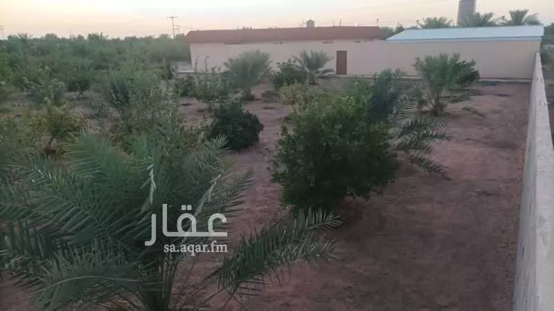 استراحة للبيع في شارع مخطط ام القلبان 223, حي مخطط  زراعي رقم ( 115), مدينة مخطط ام القلبان, منطقة حائل 1 صورة