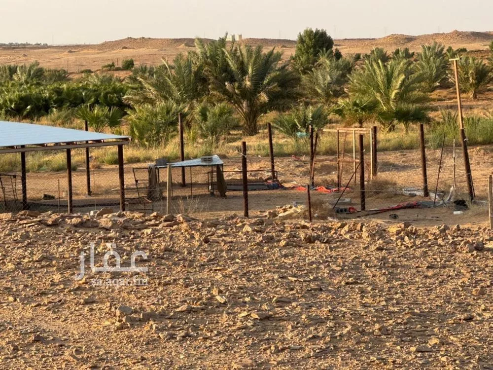 مزرعة للبيع في شارع بشري الجبرتي الشافعي, حي هجرة الزهوه والبيان, مدينة هجرة الزهوه والبيان, منطقة الرياض 1 صورة