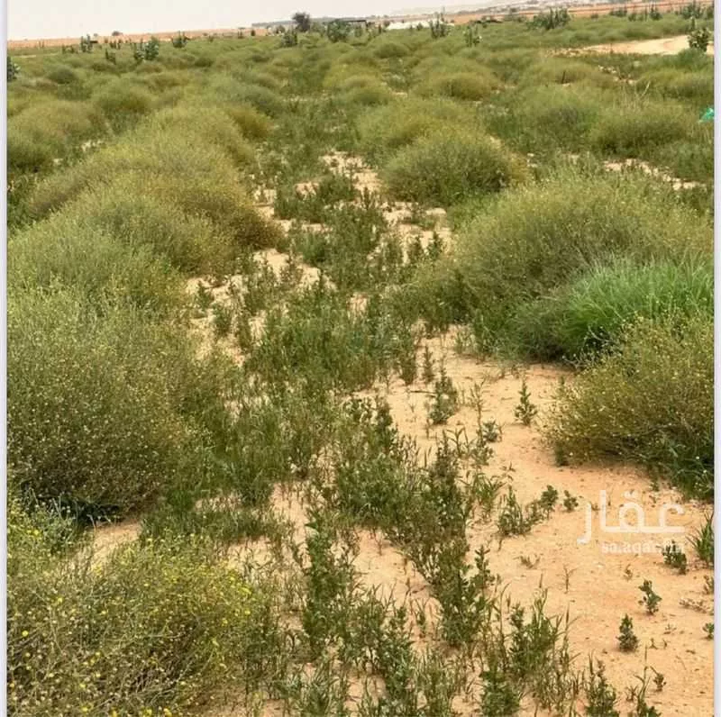 مزرعة للبيع في شارع الملك فهد, حي مزارع المشاري, مدينة مزارع المشاري, منطقة الرياض 1 صورة