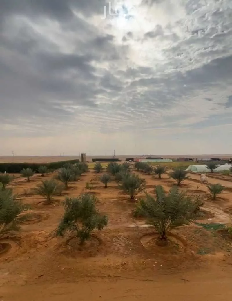 مزرعة للبيع في شارع الجله الأعلى, حي هجرة الزهوه والبيان, مدينة هجرة الزهوه والبيان, منطقة الرياض 1 صورة