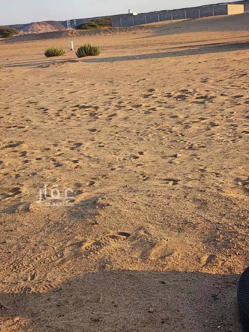 أرض للبيع في حي الوداد, مدينة جدة, منطقة مكة المكرمة 1 صورة