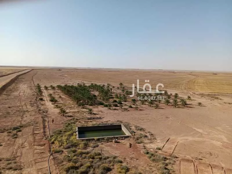 مزرعة للبيع في شارع صالح النوفلي, حي العوالي, مدينة العوالي, منطقة حائل 1 صورة