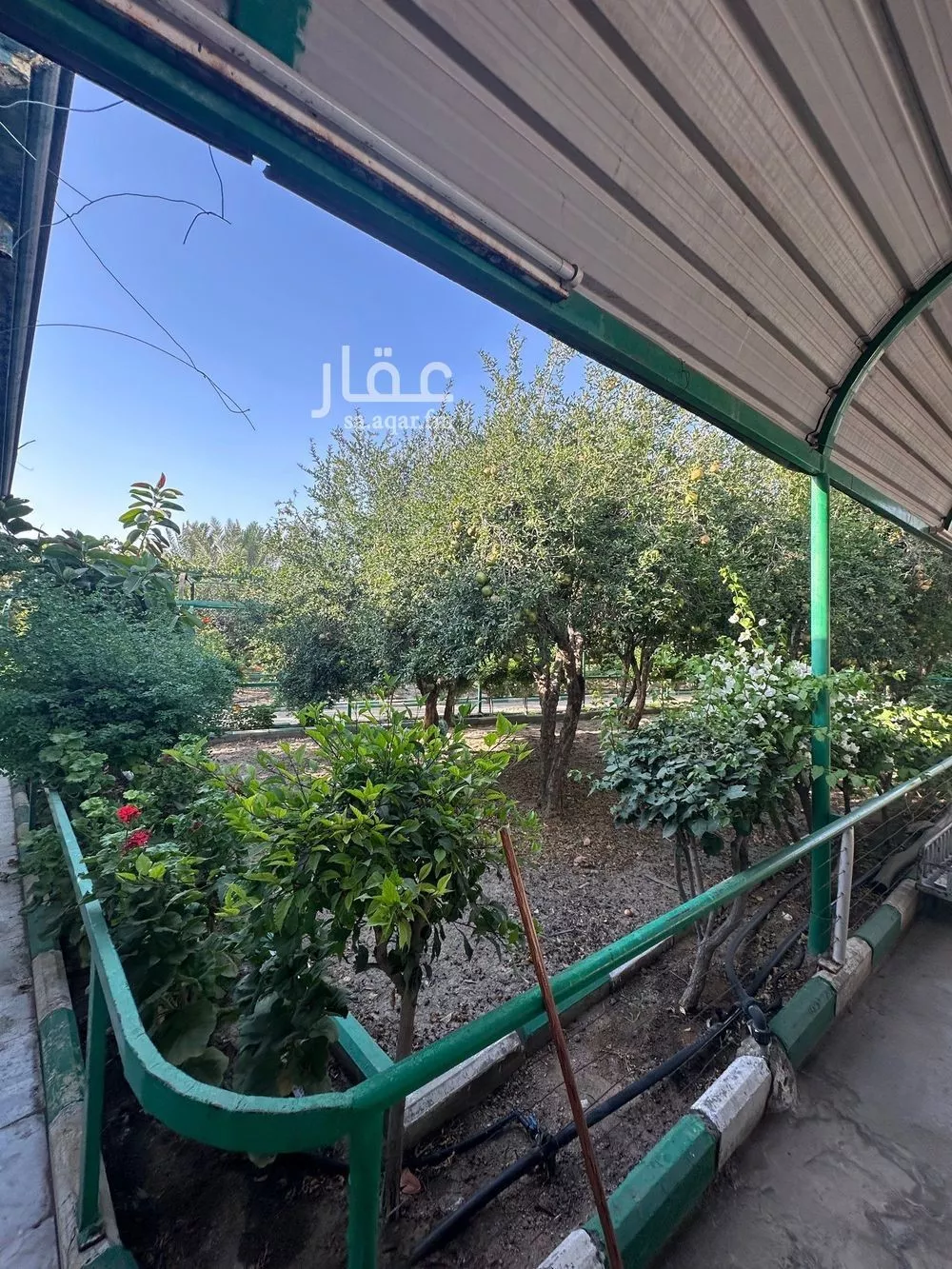 مزرعة للبيع في شارع الحرس الوطنى 3, حي القديرة, مدينة امارة منطقة مكة المكرمة - الطائف, منطقة مكة المكرمة 1 صورة