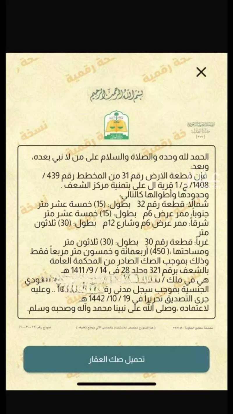 أرض للبيع في شارع 136 تمنية ، تمنية ، منطقة عسير 1 صورة
