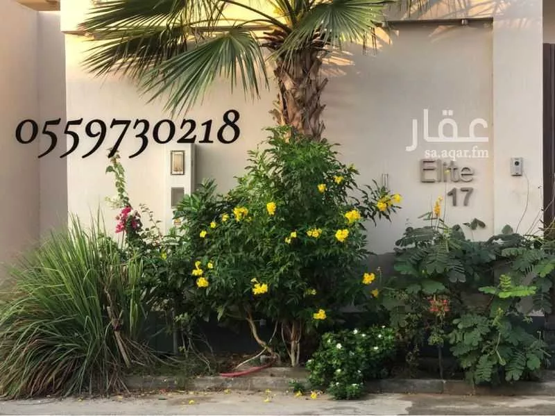 غرفة للإيجار في شارع محمد بن الطويل القرشي, حي الياقوت, مدينة جدة, منطقة مكة المكرمة 1 صورة