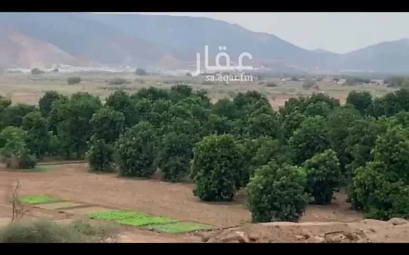 مزرعة للبيع في شارع خسلف 5307, مدينة الحجر, منطقة مكة المكرمة 1 صورة