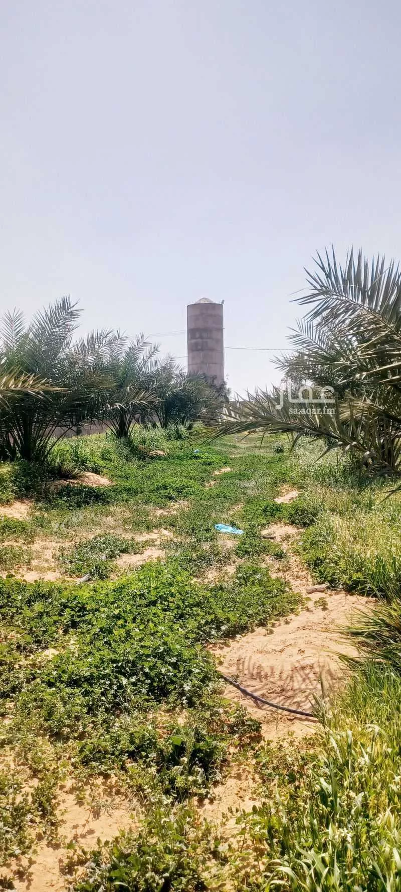 مزرعة للبيع في شارع الخضير, حي طيبة, مدينة رياض الخبراء, منطقة القصيم 1 صورة