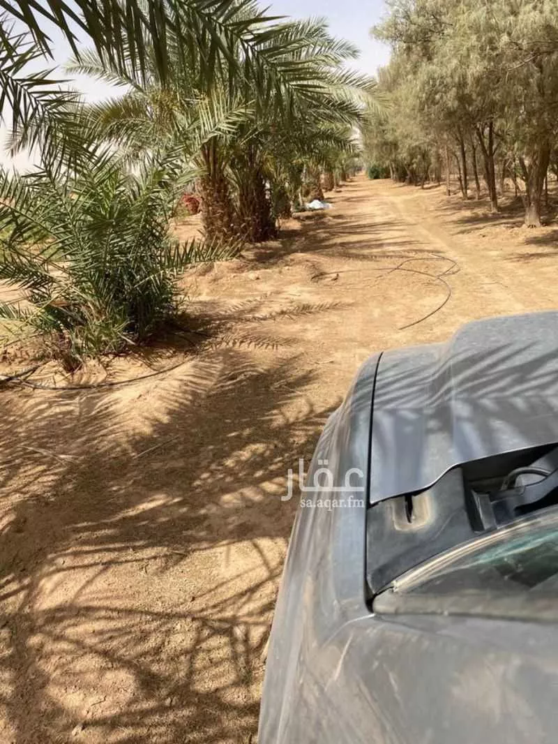 مزرعة للبيع في شارع بدون, حي المجد, مدينة الخرج, منطقة الرياض 1 صورة