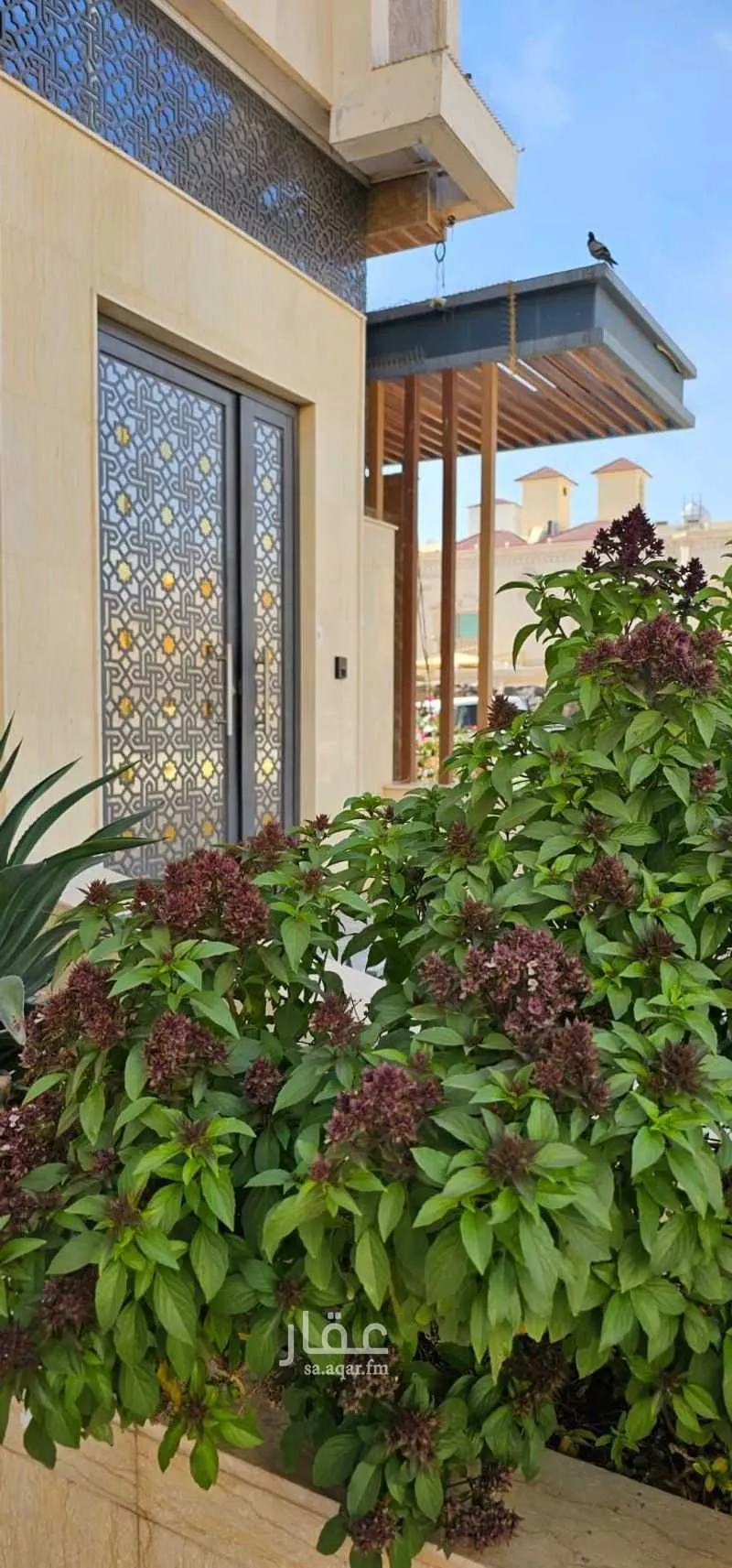 شقة للإيجار في شارع سماك بن سعد, حي شظاة, مدينة المدينة المنورة, منطقة المدينة المنورة 1 صورة