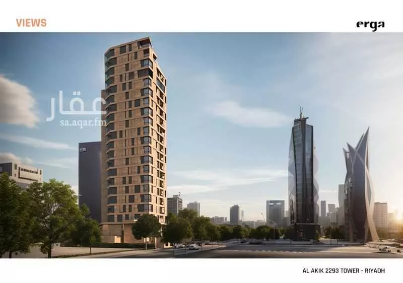 مينا رايز 1 صورة