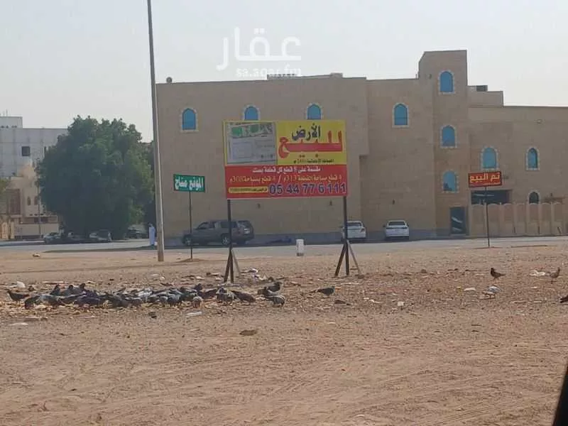 أرض للبيع في شارع محمد ابن الحمادي, حي الصفاء, مدينة جدة, منطقة مكة المكرمة 1 صورة
