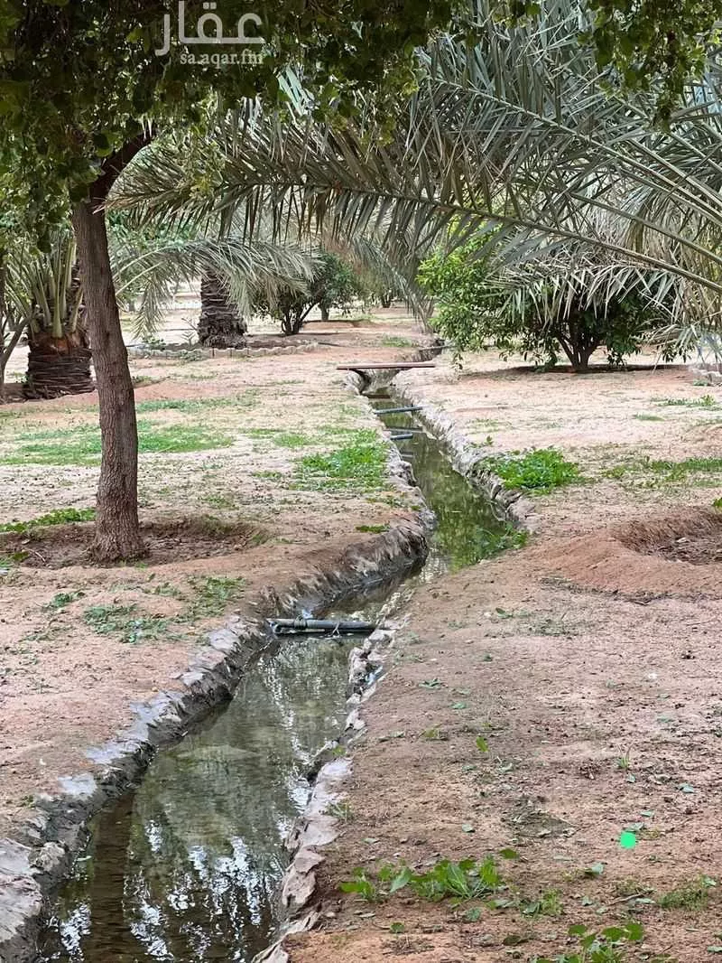 مزرعة للبيع في شارع يزيد بن الاسود ، الارطاوية ، المجمعة 1 صورة