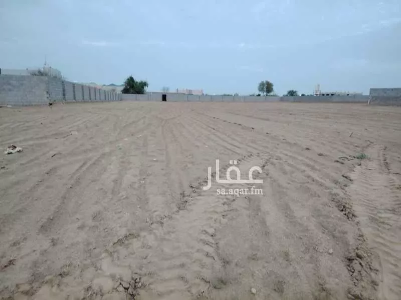 أرض للإيجار في شارع الأمير سلطان بن عبد العزيز , حي النهضة, مدينة بيش, منطقة جازان 1 صورة