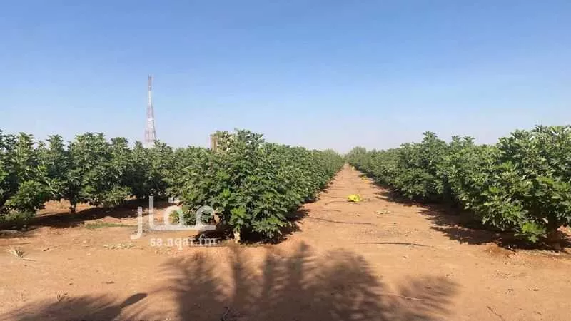 مزرعة للبيع في شارع اللغفيه 2086, حي مزارع البطينه والفرعه, مدينة مزارع البطينه والفرعه, منطقة الرياض 1 صورة