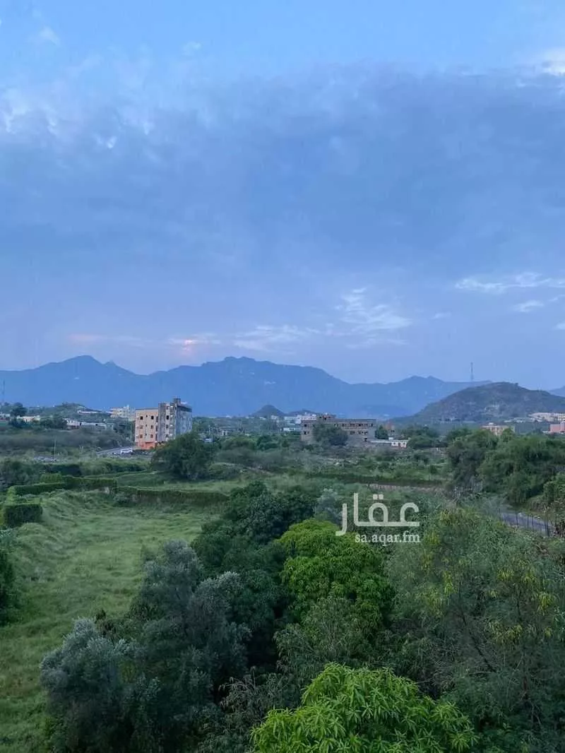 مزرعة للبيع في شارع طريق 4 متر, حي نيد الجرنه, مدينة نيد الجرنه, منطقة جازان 1 صورة