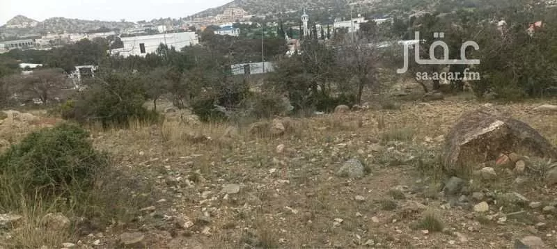 أرض للبيع في شارع الشفا, حي الشفاء, مدينة الطائف, منطقة مكة المكرمة 1 صورة