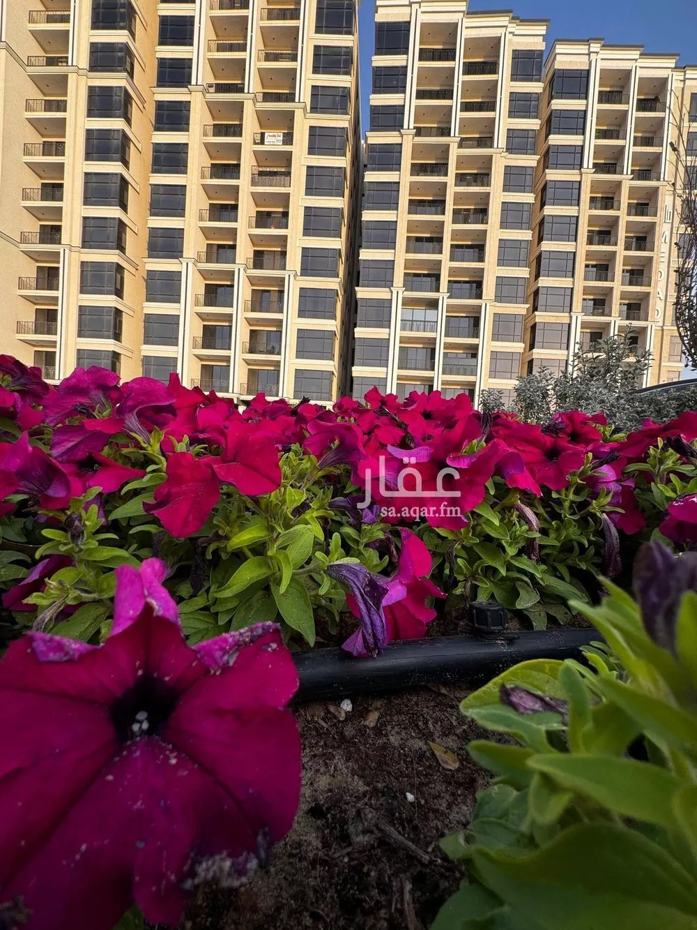 شقة للبيع في شارع الملك عبد الله بن عبدالعزيز, حي الشاطئ الغربي, مدينة الدمام, المنطقة الشرقية 1 صورة