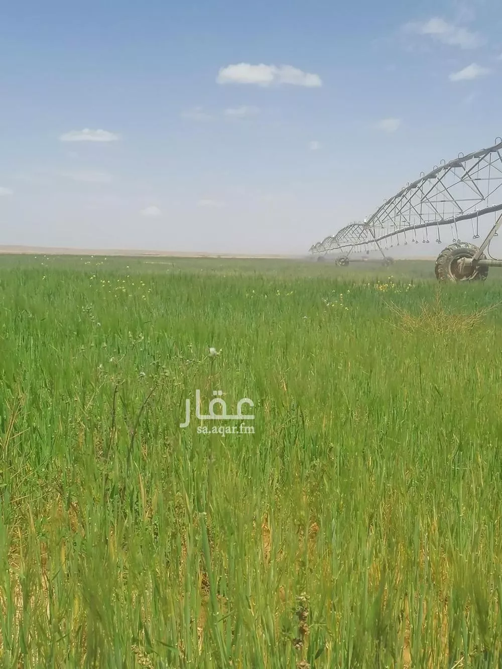 أرض للبيع في شارع جرش, حي الجبعاوية (جريش), مدينة الجبعاوية (جريش), منطقة تبوك 1 صورة