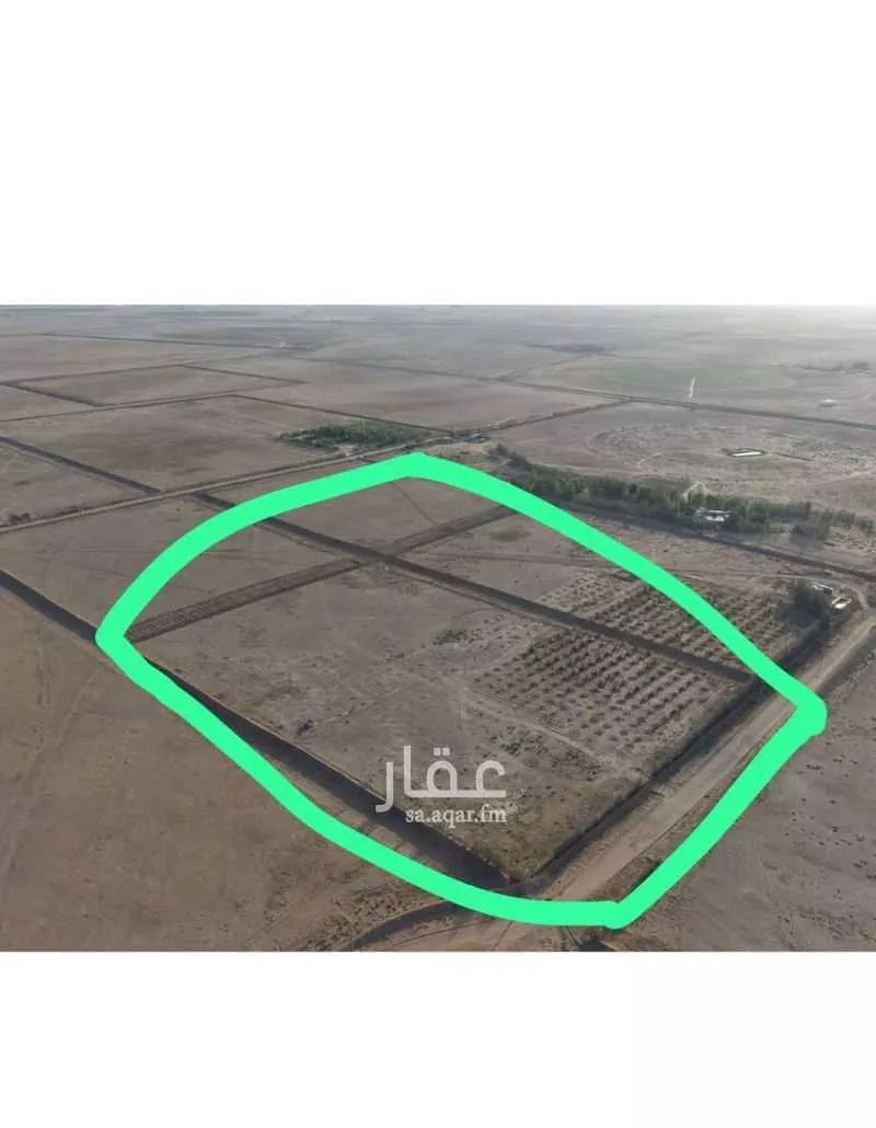 أرض للإيجار في شارع الودى, حي الودى, مدينة ودي الحزم الودي, منطقة حائل 1 صورة