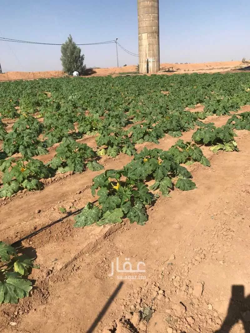 مزرعة للبيع في العدوة ، الشنان 1 صورة