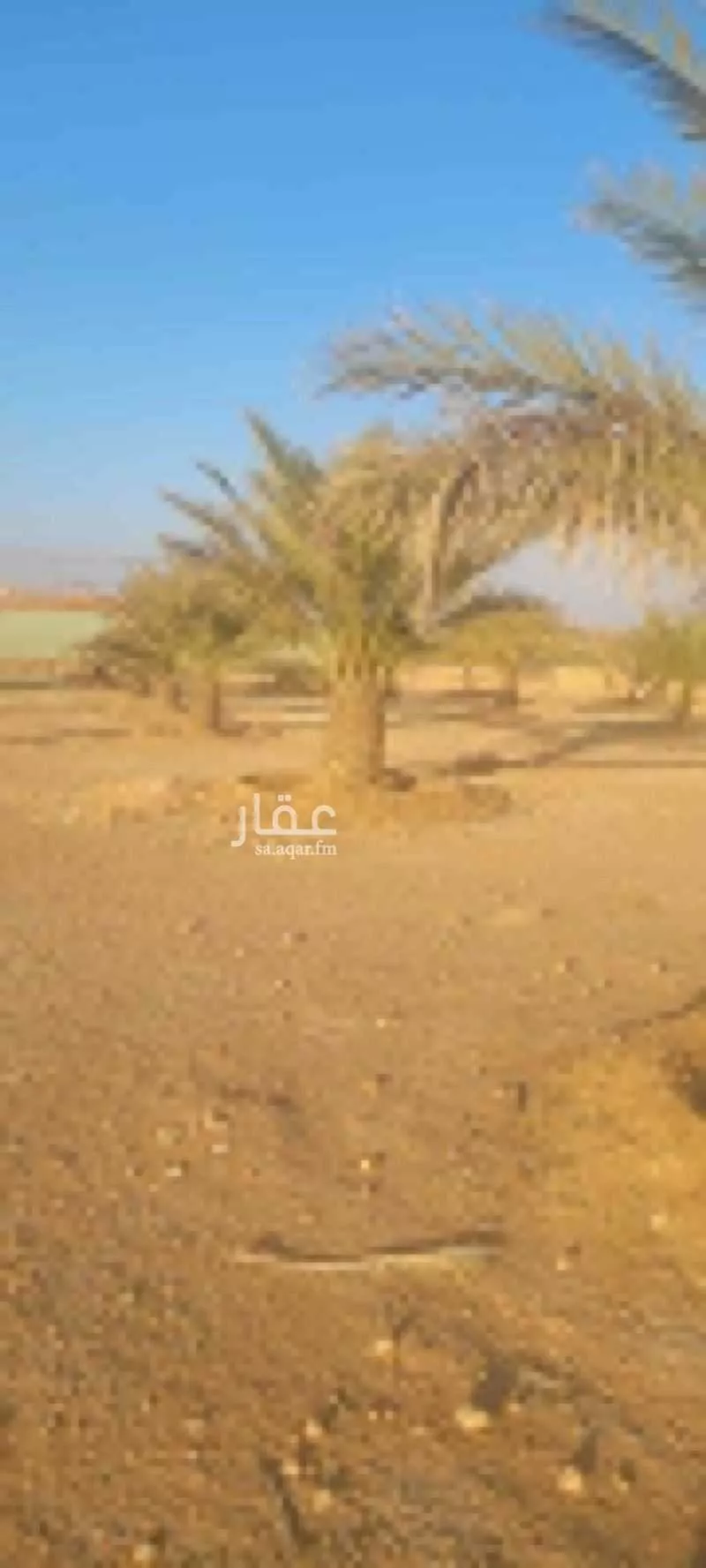 مزرعة للبيع في شارع حمد بن عتيق, حي دقله, مدينة دقله, منطقة الرياض 1 صورة