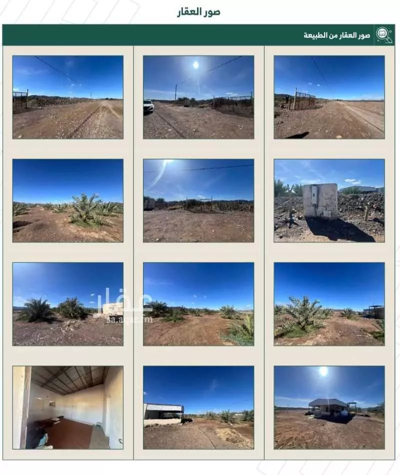 مزرعة للبيع في شارع المليليح 937 ، الجفدور ، منطقة المدينة المنورة 1 صورة