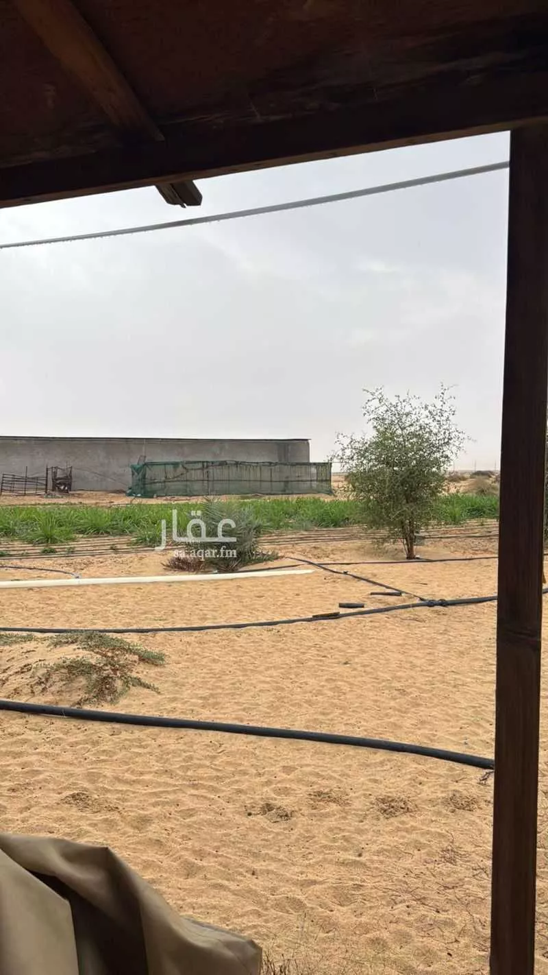 مزرعة للبيع في حي الرافعيه, مدينة الرافعيه, المنطقة الشرقية 1 صورة