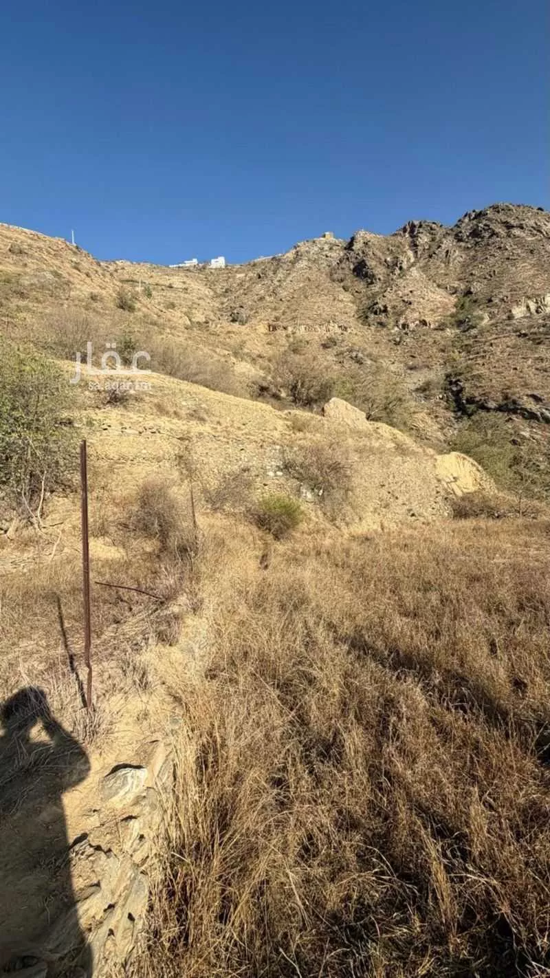 أرض للبيع في شارع الثواهر 935 ، الدائر ، الدائر 1 صورة