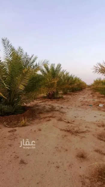 أرض للبيع في مدينة المزاحمية - الجديده, منطقة الرياض