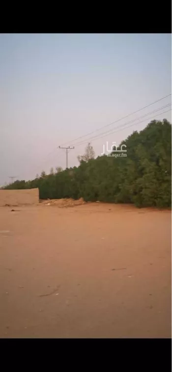 أرض للبيع في مدينة المزاحمية - الجديده, منطقة الرياض صورة 5