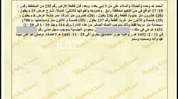 أرض للبيع في شارع شارع عمرو بن أبي وقاص, حي النعيم, مدينة رابغ, منطقة مكة المكرمة صورة 2