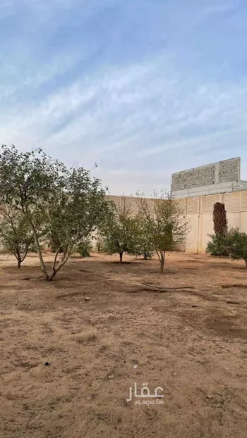 استراحة للإيجار في شارع عقرباء 191, حي عقرباء, مدينة امارة منطقة الرياض - الجبيله, منطقة الرياض صورة 4