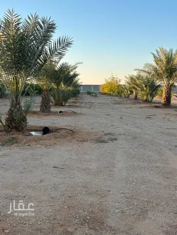 مزرعة للبيع في حي الساحبه ومزارعها, مدينة الساحبه ومزارعها, منطقة الرياض صورة 3