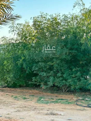مزرعة للبيع في حي الساحبه ومزارعها, مدينة الساحبه ومزارعها, منطقة الرياض صورة 4