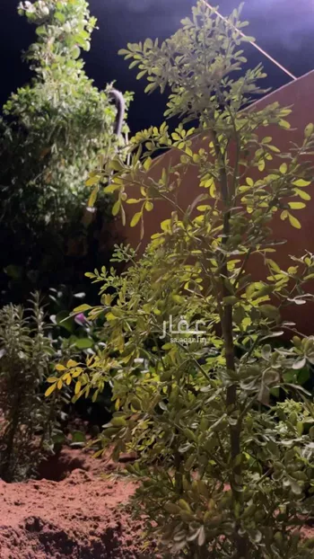 مزرعة للبيع في مدينة الصيهد (ال ولمه), منطقة الرياض صورة 2