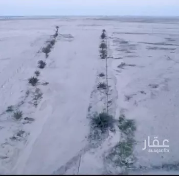 مزرعة للبيع في حي مزارع الشيط الشرقيه, مدينة مزارع الشيط الشرقيه, المنطقة الشرقية صورة 5
